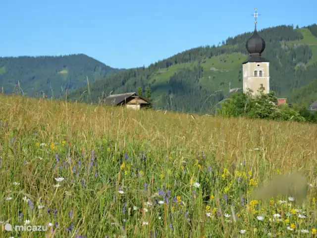 chalet en Austria, Estiria, Hohentauern – Chalet Edelweiss impresión de verano