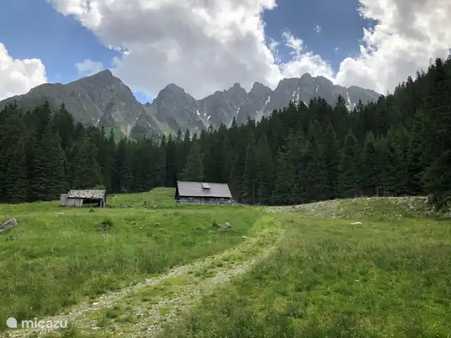 chalet en Austria, Estiria, Hohentauern – Chalet Edelweiss impresión de verano
