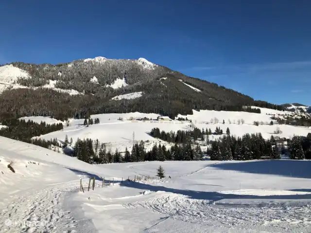 chalet en Austria, Estiria, Hohentauern – Chalet Edelweiss impresión de invierno