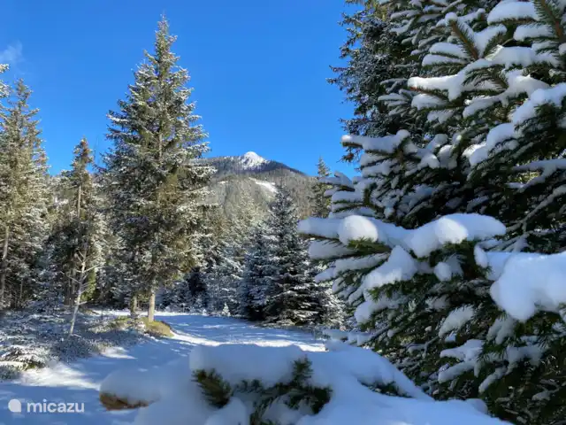 chalet en Austria, Estiria, Hohentauern – Chalet Edelweiss Bosque cerca de Chalet Edelweiss