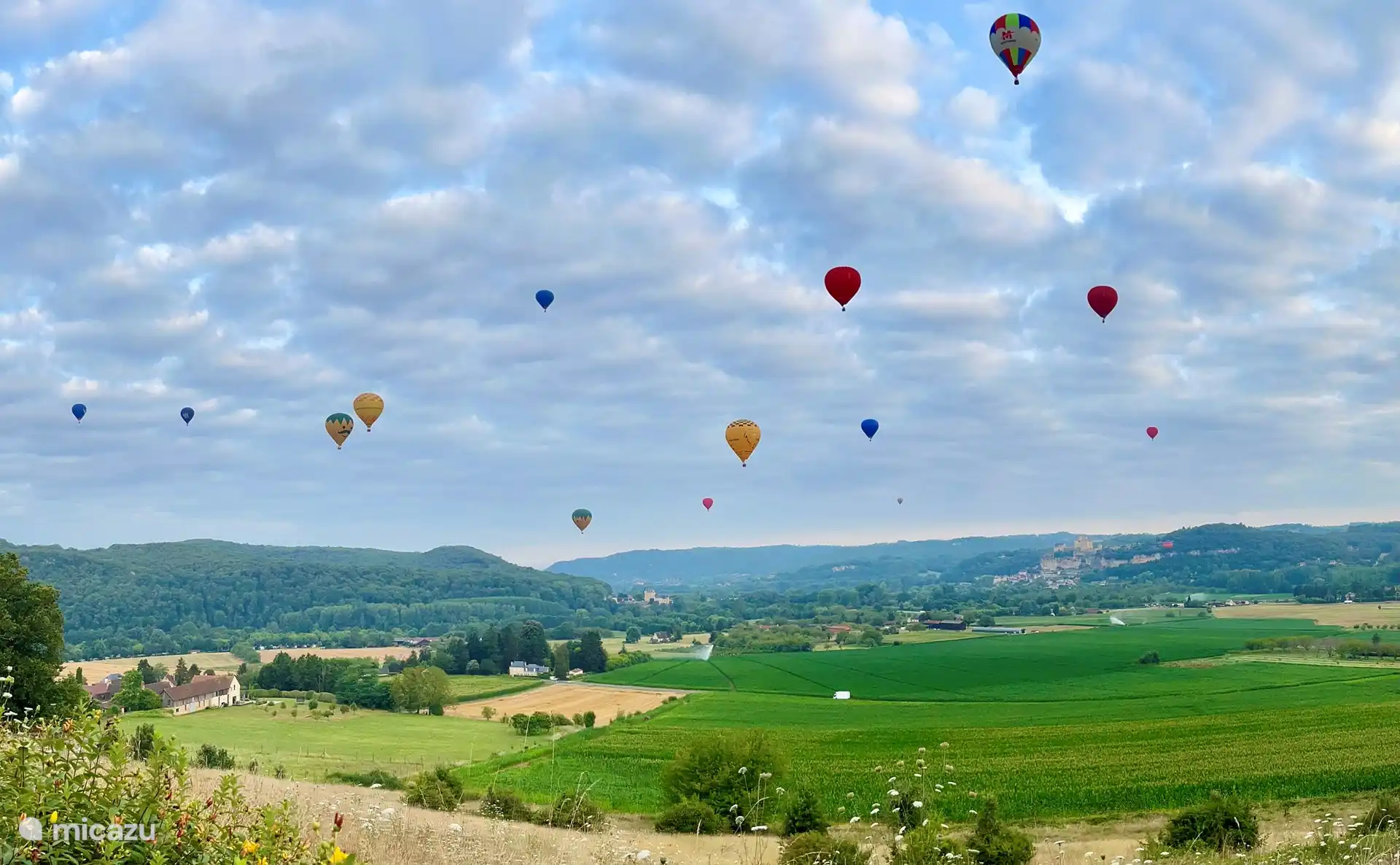 Das sieht man früh am Morgen oder am frühen Abend.