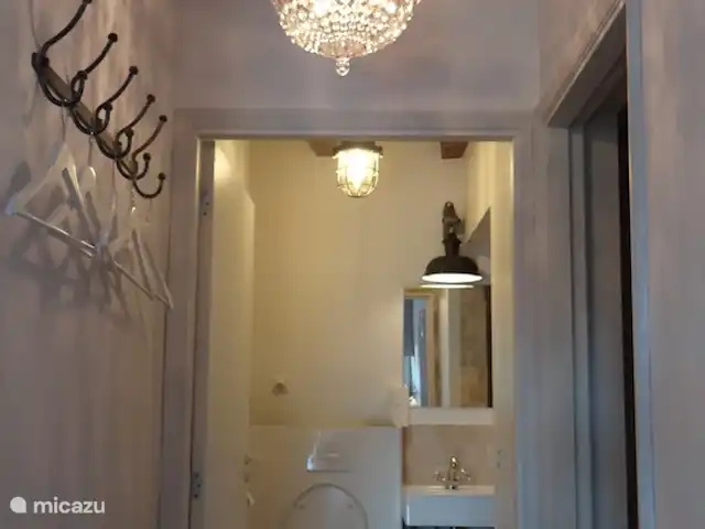 Belle Boissierette 'Cosy' | France, Lot, Marminiac - gîte / cottage WC et salle d'eau, spacieux