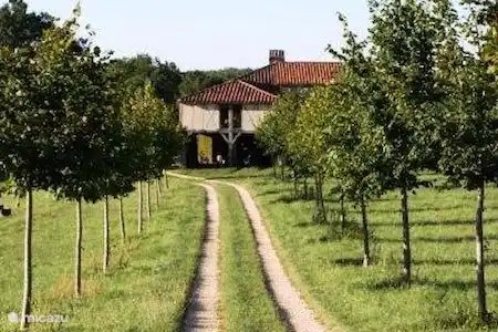 Vakantiehuis Frankrijk, Lot-et-Garonne, Sérignac-sur-Garonne vakantiehuis Place to be -