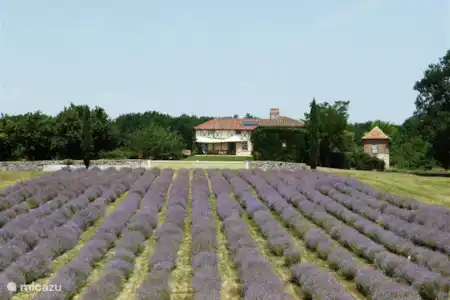 Vakantiehuis Frankrijk, Lot-et-Garonne, Sérignac-sur-Garonne vakantiehuis Place to be -