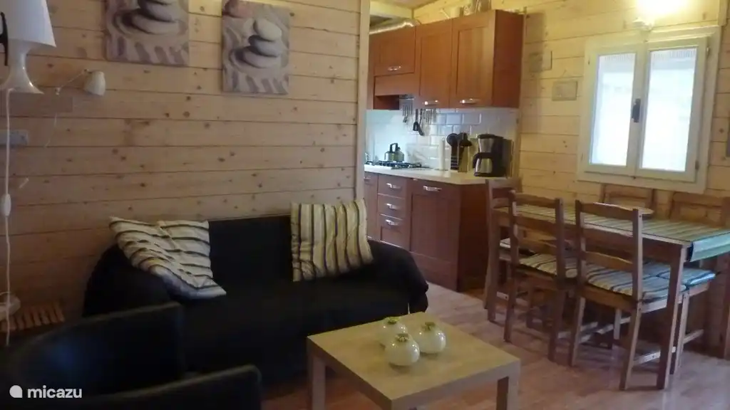 Living room and kitchen