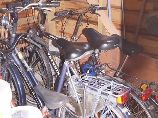 Zum kleinen Hollander | Pays-Bas, Overijssel, Beerze - maison de vacances Les vélos peuvent être utilisés gratuitement.