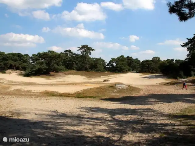 Zum kleinen Hollander | Pays-Bas, Overijssel, Beerze - maison de vacances Dérive de sable Beerze