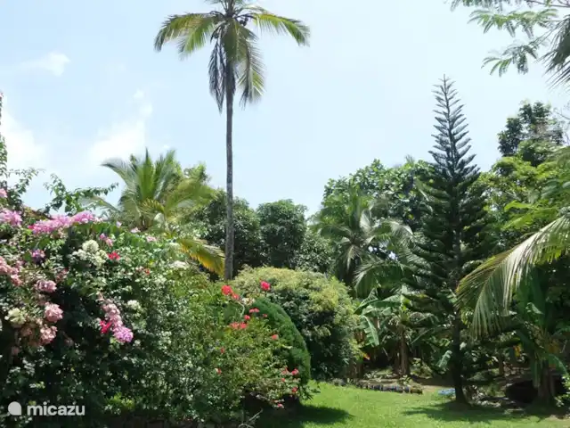 villa en Sri Lanka, Sur, Colombo – Sri Lanka -