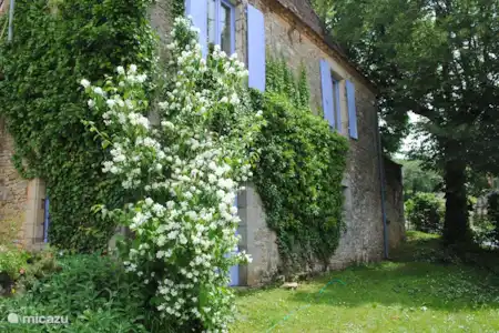 Vakantiehuis Frankrijk, Dordogne, Nabirat vakantiehuis Le Renard -
