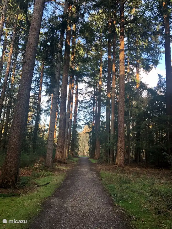 Wandern in der Natur