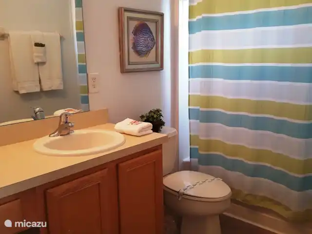 villa huren in Verenigde Staten, Florida, Davenport – Aviana vakantievilla Badkamer