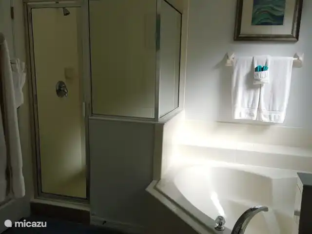 villa huren in Verenigde Staten, Florida, Davenport – Aviana vakantievilla Badkamer beneden