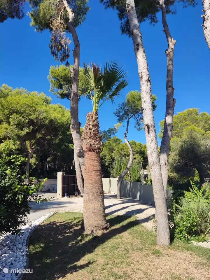 Parking pour 2 à 3 voitures à l'intérieur du portail sur place.