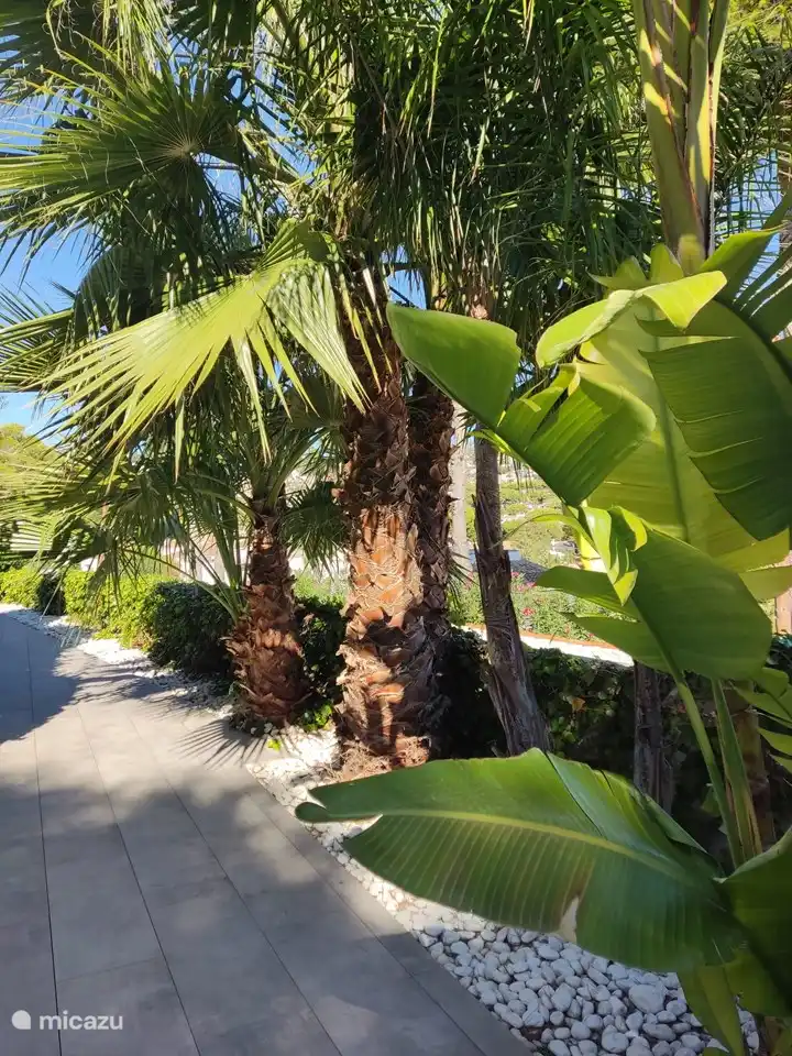 L'ensemble du site dispose d'un jardin tropical.