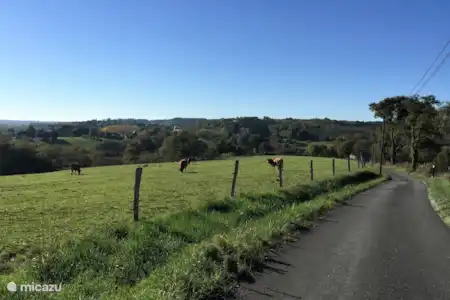 Vakantiehuis Frankrijk, Dordogne, Saint-Rabier vakantiehuis La Tortue -