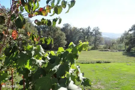 Vakantiehuis Frankrijk, Dordogne, Saint-Rabier vakantiehuis La Tortue -