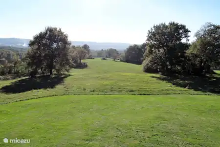 Vakantiehuis Frankrijk, Dordogne, Saint-Rabier vakantiehuis La Tortue -