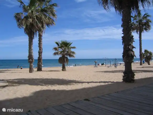 Playa de naturaleza acuática en España, Costa Blanca, La Mata - apartamento La playa de arena fina y limpia de La Mata.