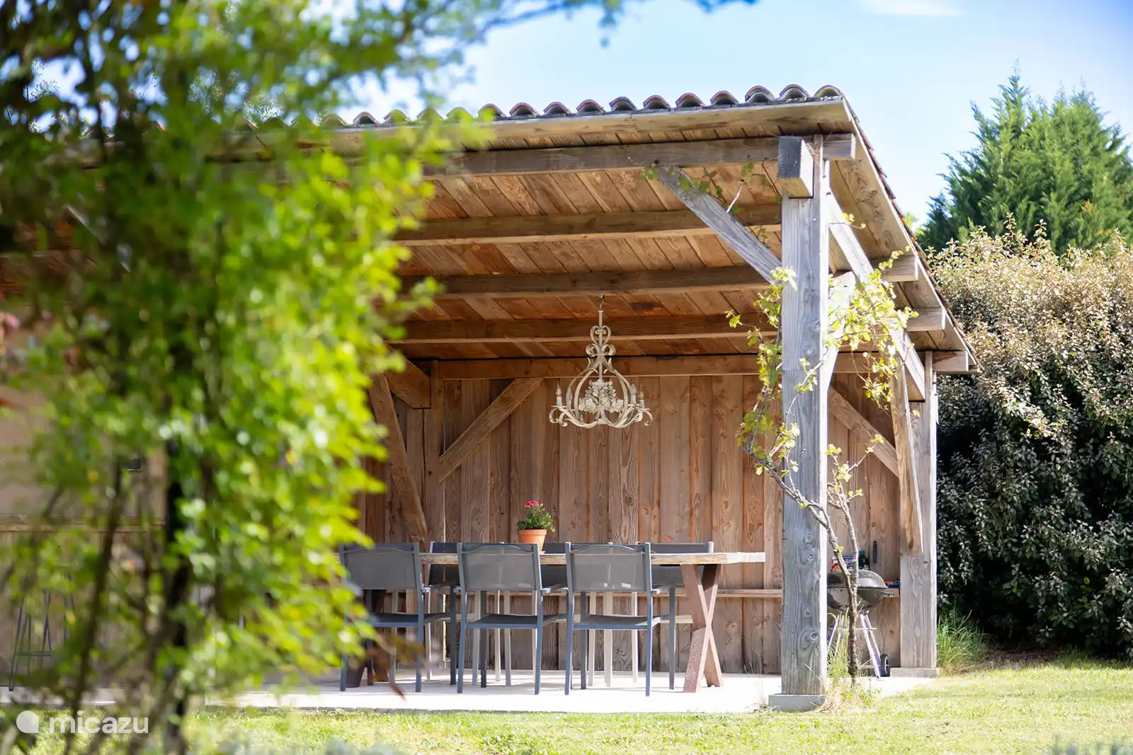 In het voorjaar staan de rozen in bloei!