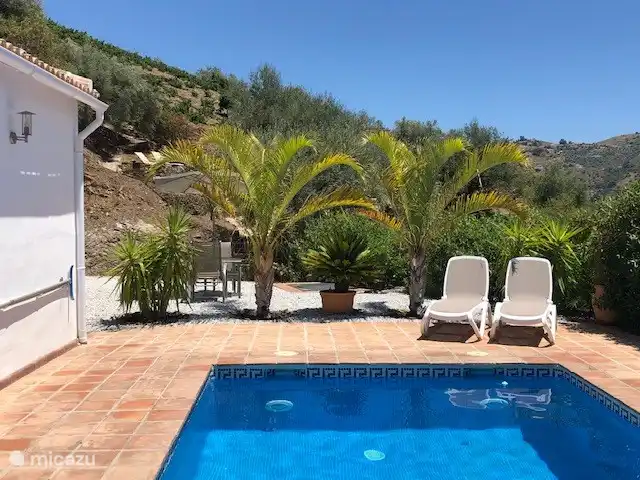 Terrasse et piscine 6,5 x 3,5 (non chauffée et toujours agréable et fraîche même en haute saison)