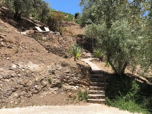 Première terrasse avec vue sur les vignes et les oliviers. Superficie totale terrain 3200M2
