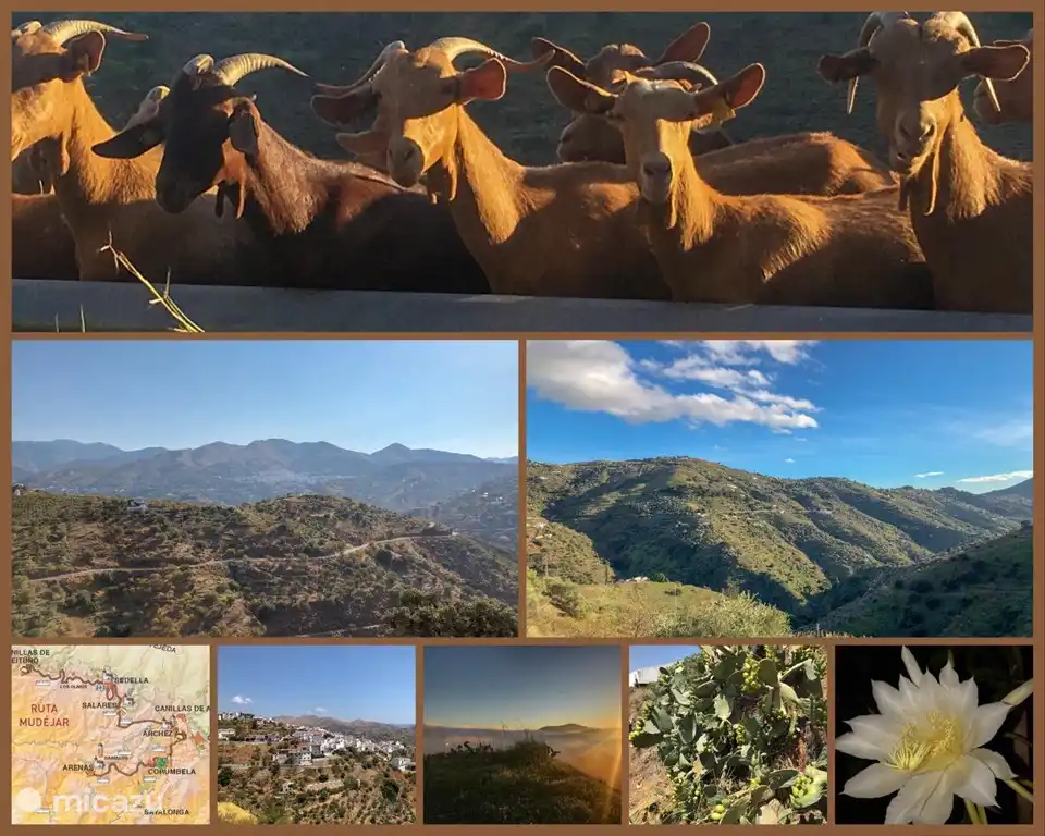 Présentation de l'environnement