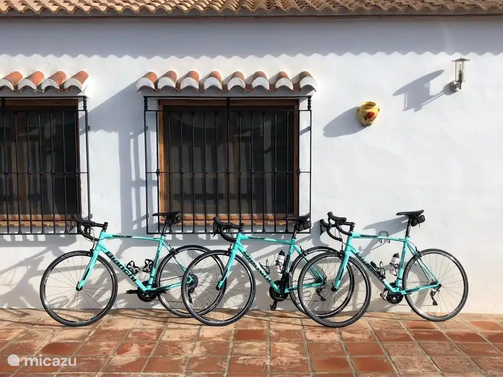 beaux vélos de course/VTT sur demande