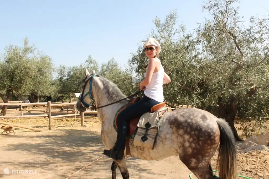 Équitation dans la région