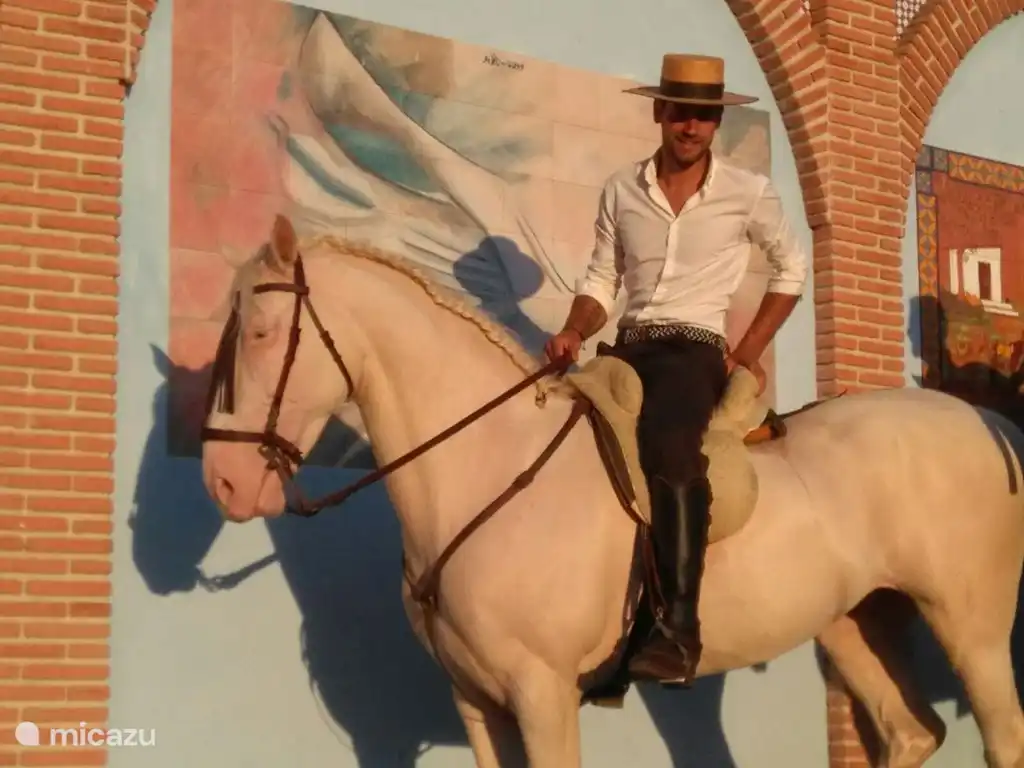 Traditions et culture