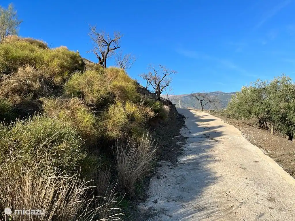Sentiers de randonnée / Sentiers de randonnée