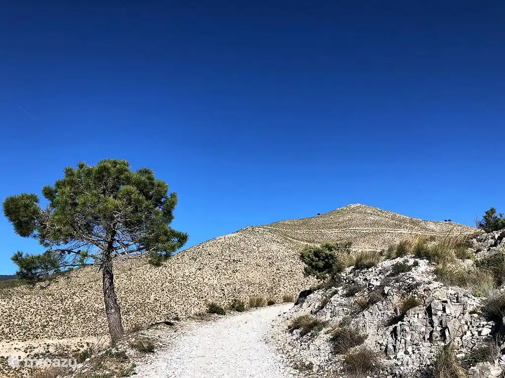 Beaux sentiers de randonnée près de l'agréable Competa