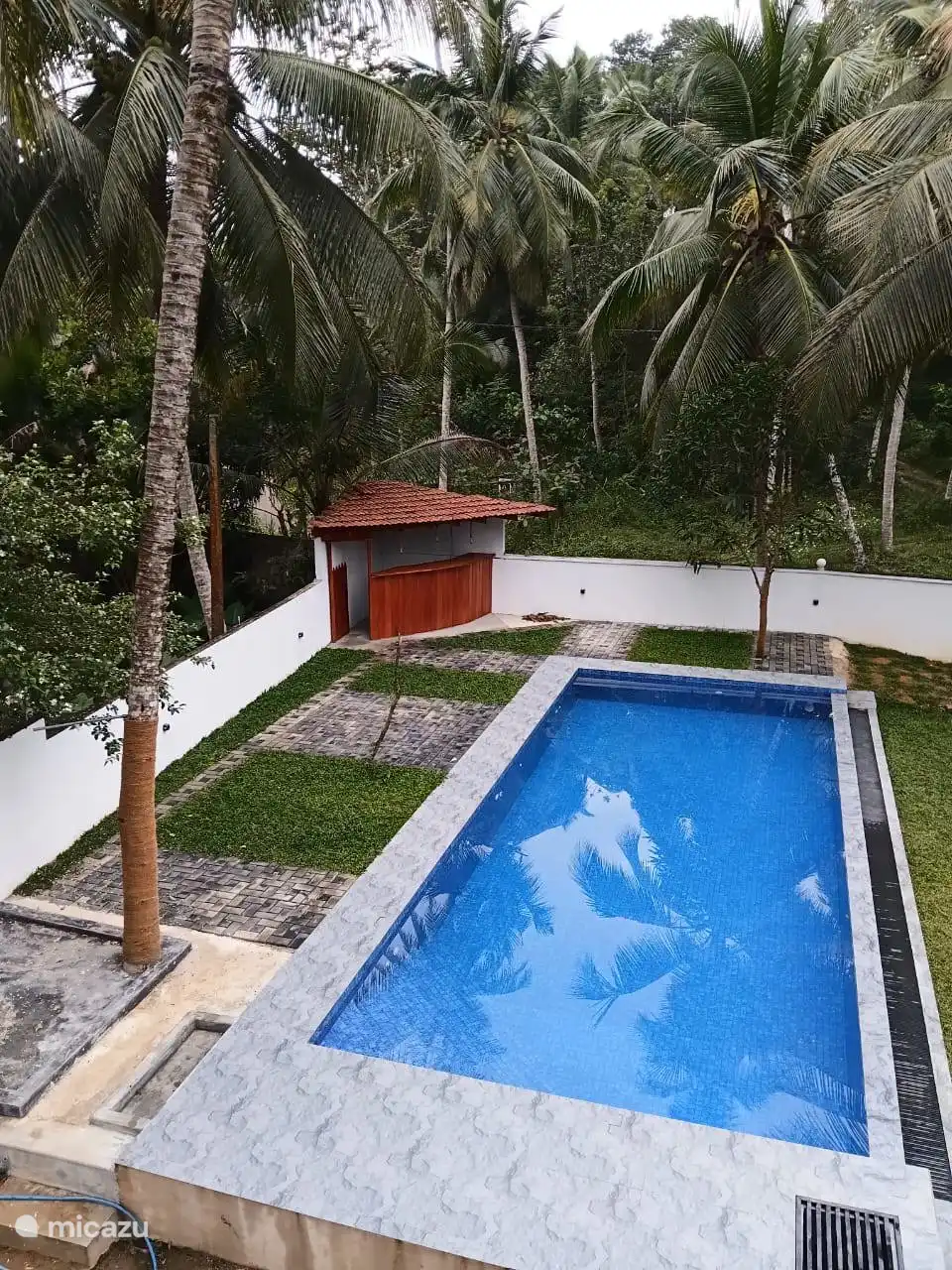 Zwembad met juice bar