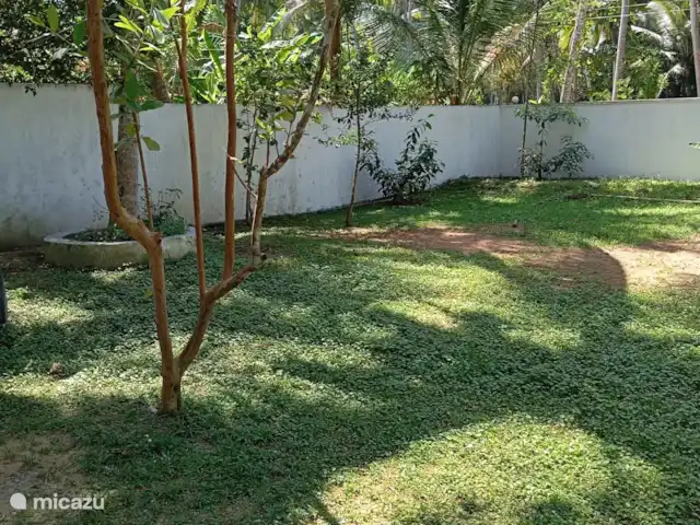 Location de Vacances Sri Lanka, Sud, Habaraduwa, villa - Maison de vacances Meepe