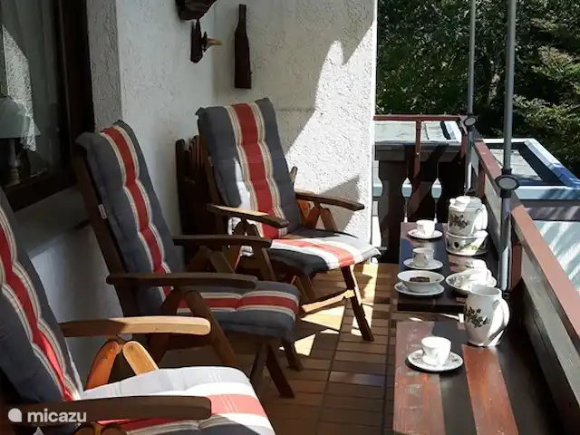 Winterberg Hasewinkel | Allemagne, Sauerland, Züschen - Winterberg - appartement Balcon.