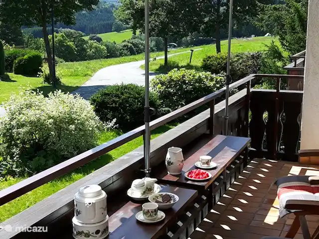 Winterberg Hasewinkel | Allemagne, Sauerland, Züschen - Winterberg - appartement Balcon avec 6 luxueuses chaises de jardin réglables.