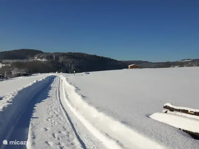 Winterberg Hasewinkel | Allemagne, Sauerland, Züschen - Winterberg - appartement Vue à côté de l'appartement