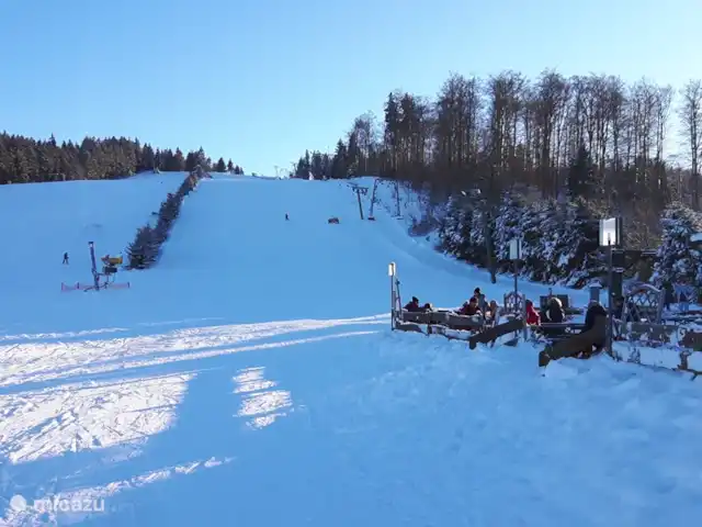 Winterberg Hasewinkel | Allemagne, Sauerland, Züschen - Winterberg - appartement La pente de Zuschen.