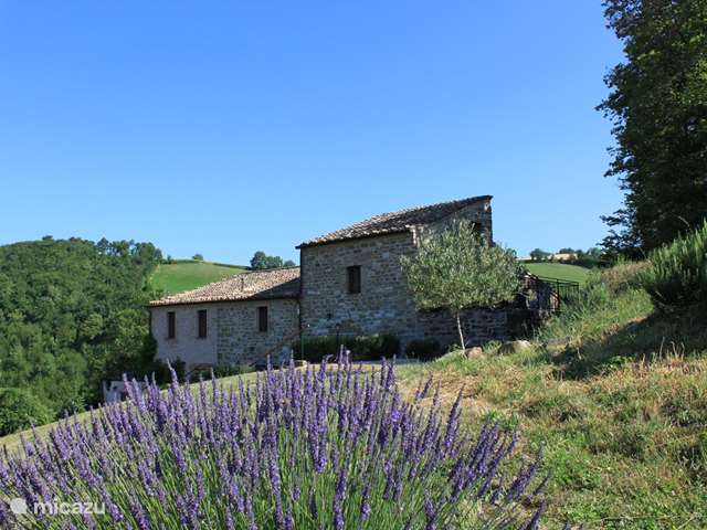Holiday home in Italy, Marche, Doglio - apartment Farmhouse carincone app Sole & Luna