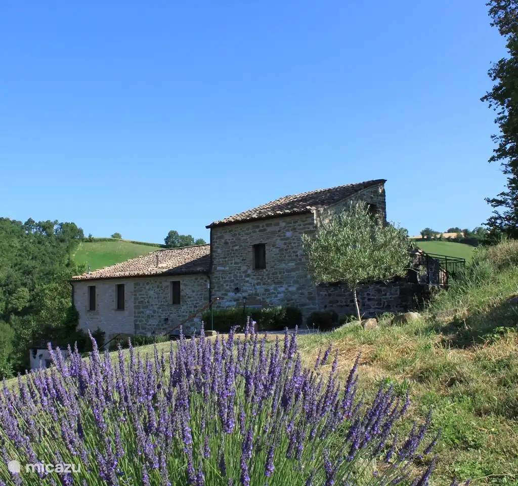 Agriturismo Carincone app Aria