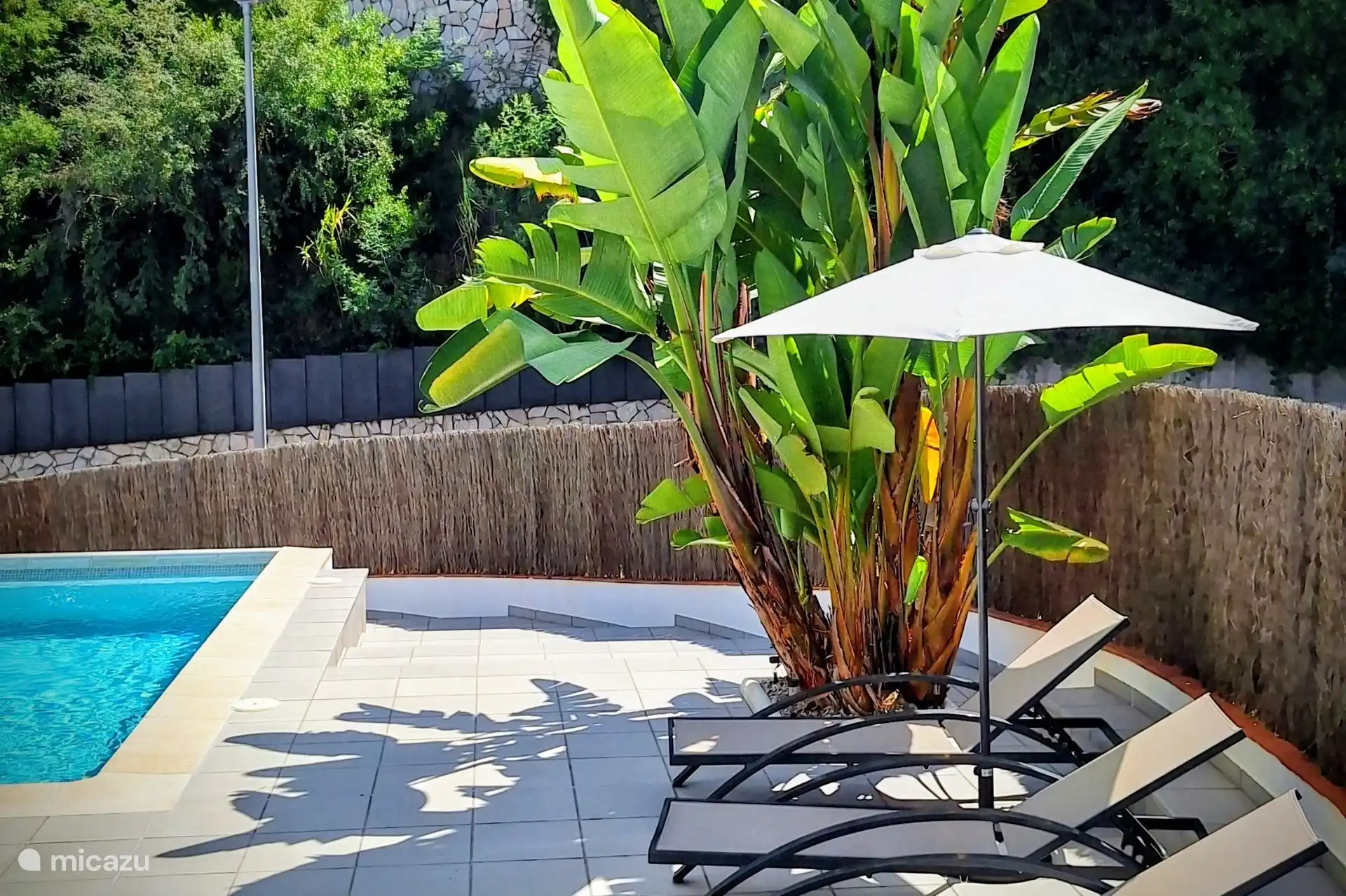 Heerlijk luieren,6 ligstoelen