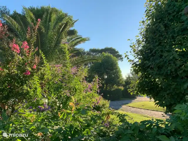 Al-Gelsomoro | Italie, Pouilles (Puglia), Lecce - villa Le jardin
