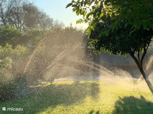 Al-Gelsomoro | Italie, Pouilles (Puglia), Lecce - villa Le jardin