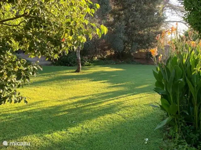 Al-Gelsomoro | Italie, Pouilles (Puglia), Lecce - villa Le jardin