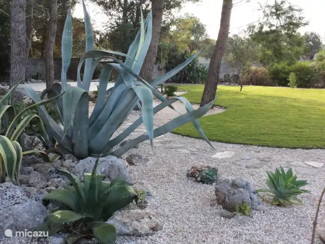 Al-Gelsomoro | Italie, Pouilles (Puglia), Lecce - villa Le jardin