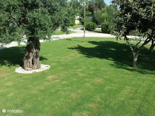 Al-Gelsomoro | Italie, Pouilles (Puglia), Lecce - villa Le jardin