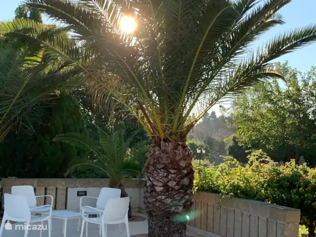 Al-Gelsomoro | Italie, Pouilles (Puglia), Lecce - villa La terrasse