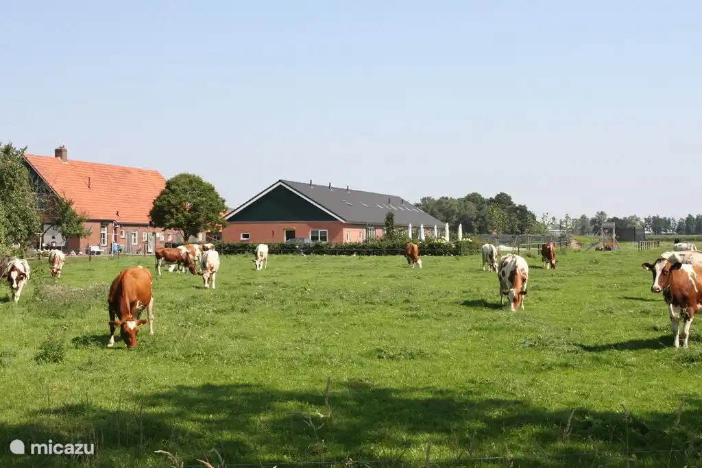 Exteriors Farmhouse Apartments 't Katreel