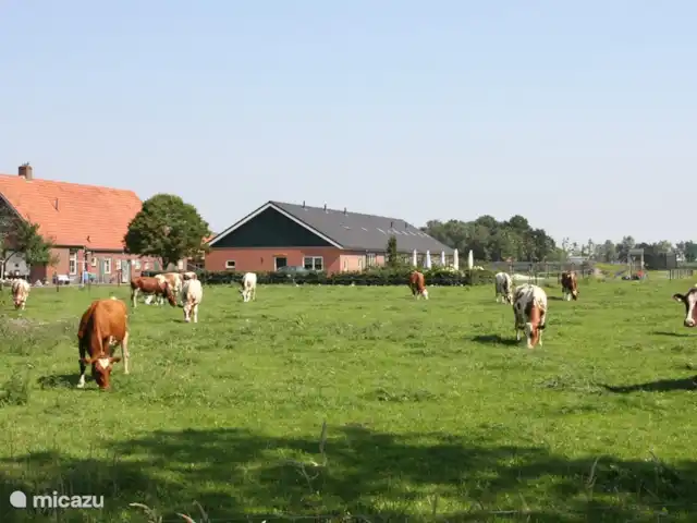 't Katreel granja apartamento en Países Bajos, Overijssel, Haaksbergen - casa vacacional Vista exterior Farm Apartments 't Katreel
