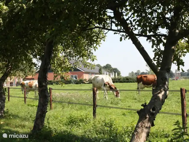 't Katreel granja apartamento en Países Bajos, Overijssel, Haaksbergen - casa vacacional Vista exterior de los apartamentos agrícolas 't Katreel