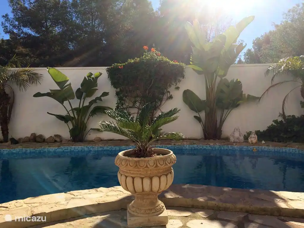 Ruhige Lage mit viel Privatsphäre